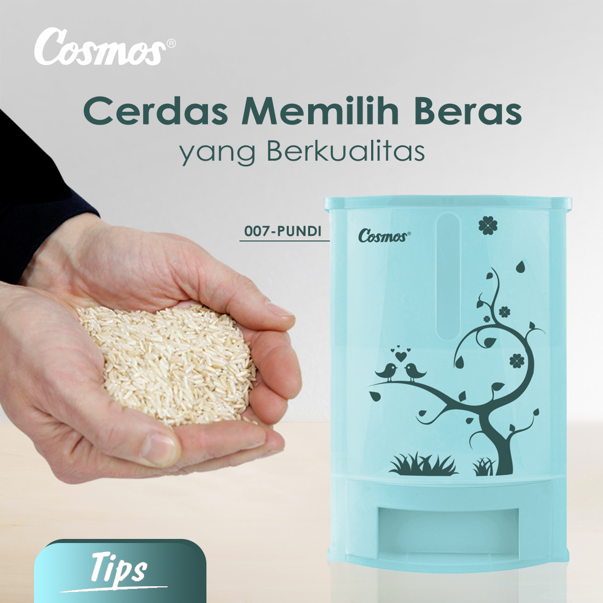 Tips Cerdas Memilih Beras yang Berkualitas