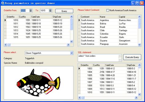 Longtion RadBuilder 4.9.0.490 New