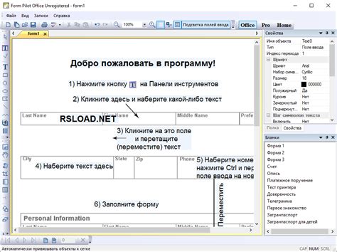 Form Pilot Office 2.83